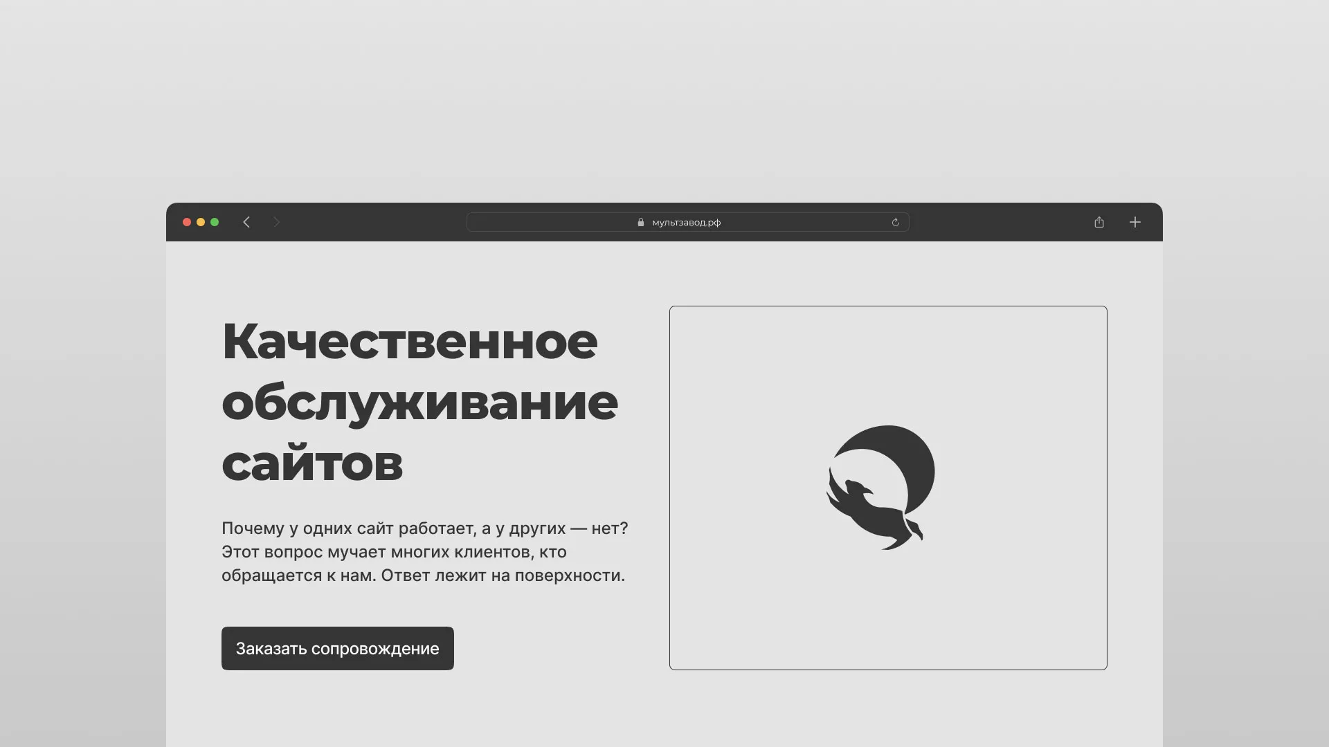 Комплексное сопровождение сайтов в Луге
