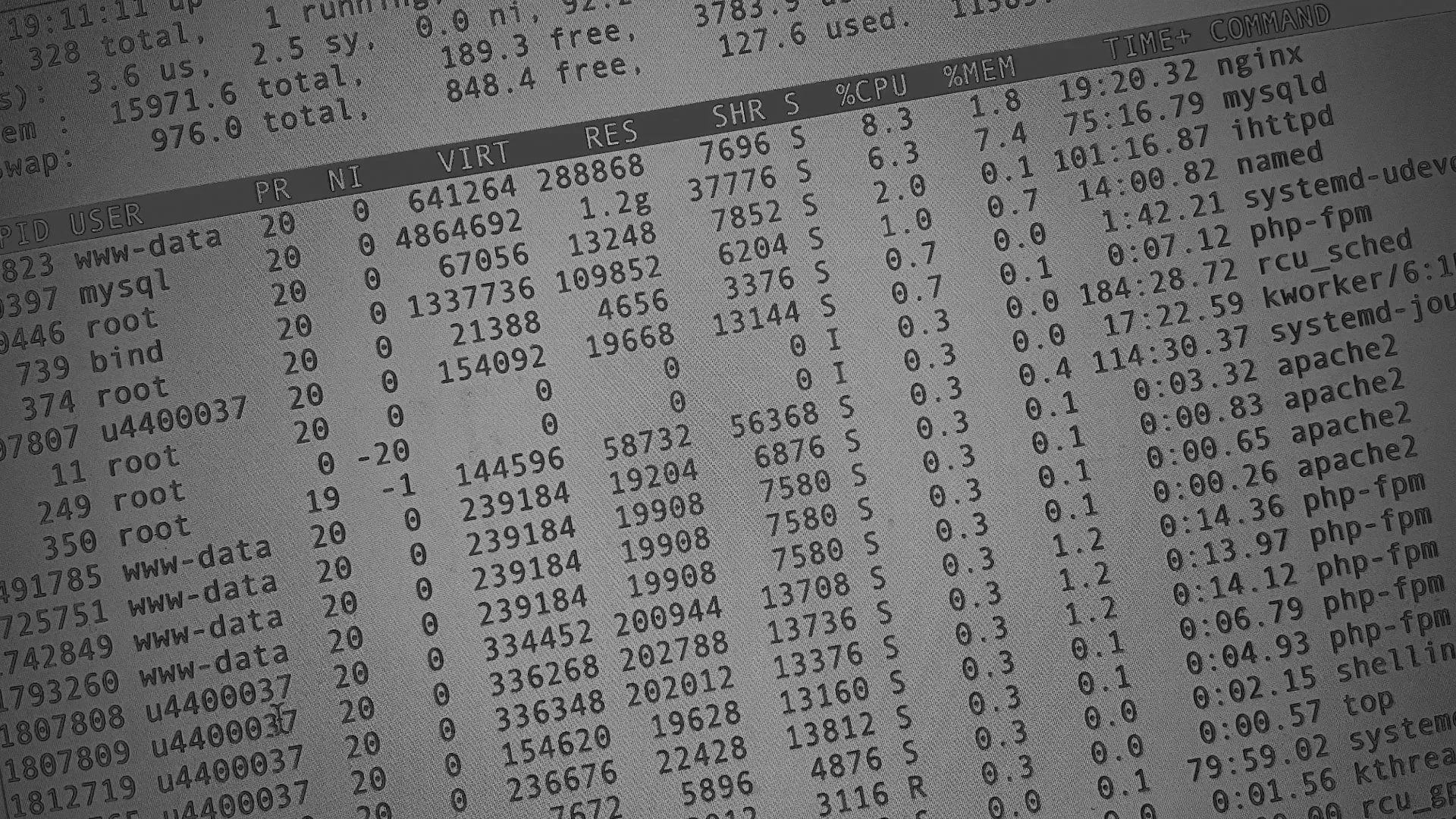 Настройка сервера в Луге Настройка сервера в Луге