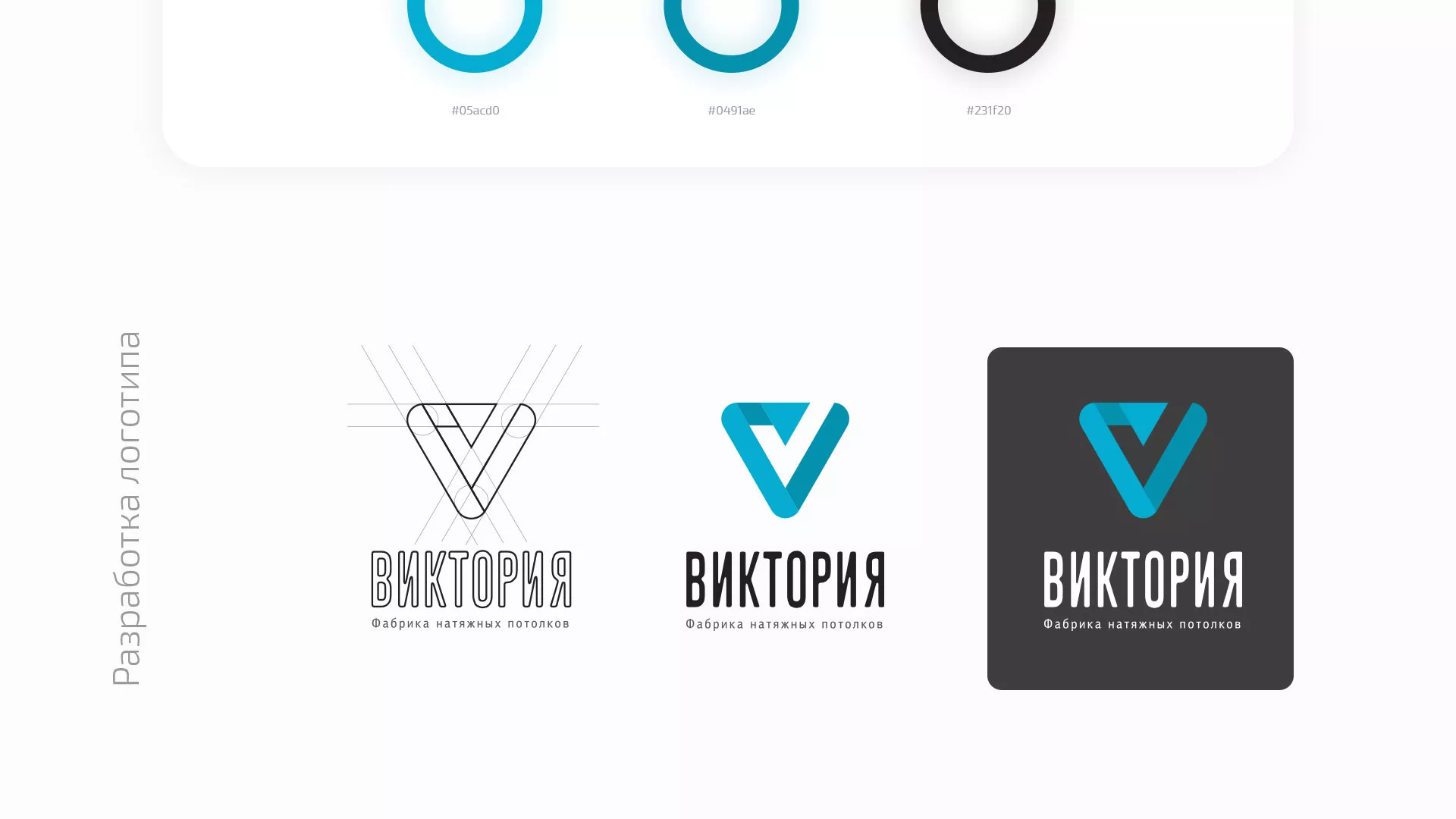 Разработка фирменного стиля компании по продаже и установке натяжных потолков в Луге
