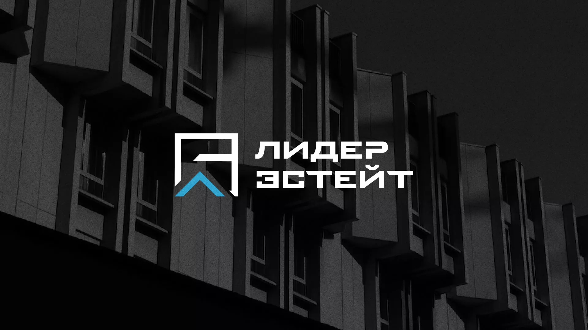 Разработка логотипа агентства недвижимости «Лидер Эстейт» в Луге